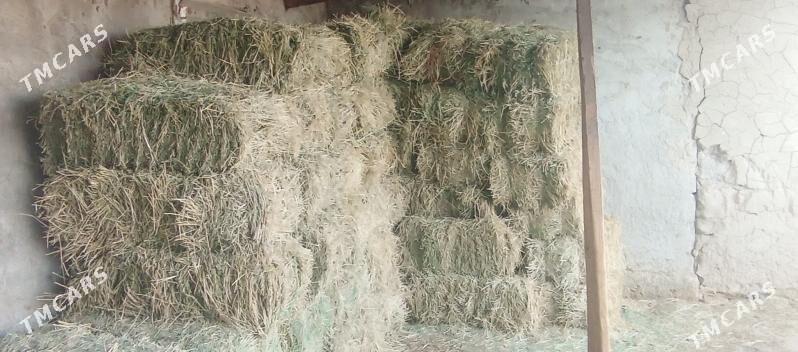 yorunja bede - Бузмеин - img 2