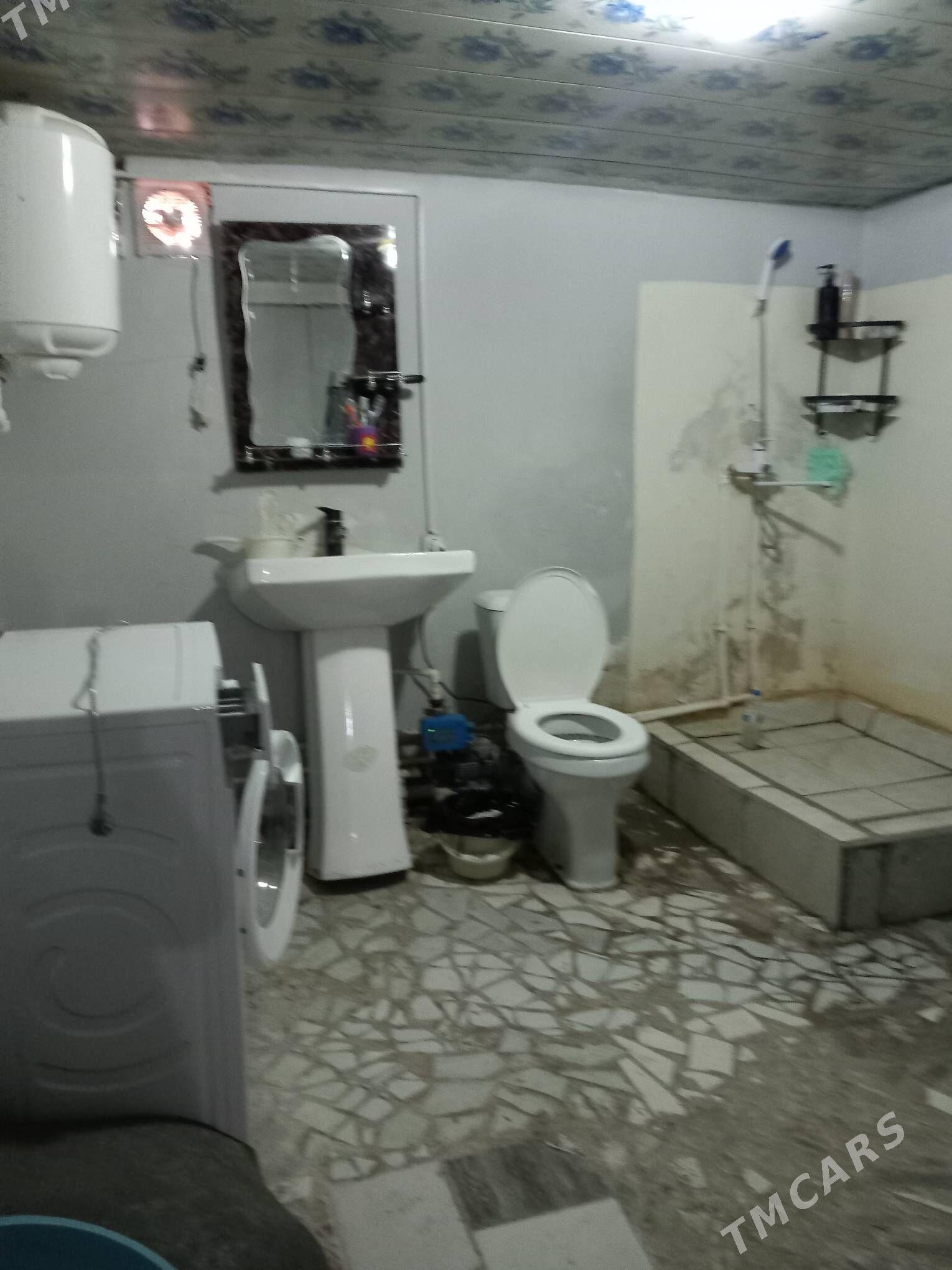 Satlyk jay - Mary - img 2