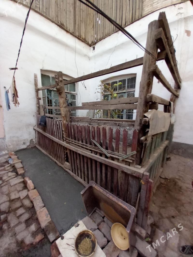 Satlyk jay - Mary - img 4