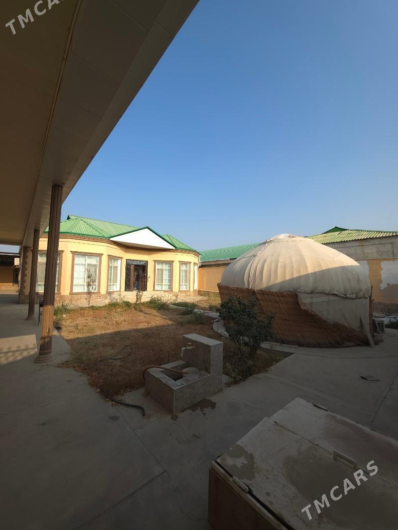 Bagyr aşaky mirewe. - Aşgabat - img 2