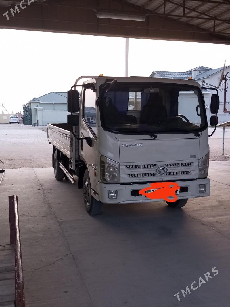 Forland H2 2018 - 240 000 TMT - Gumdag - img 9