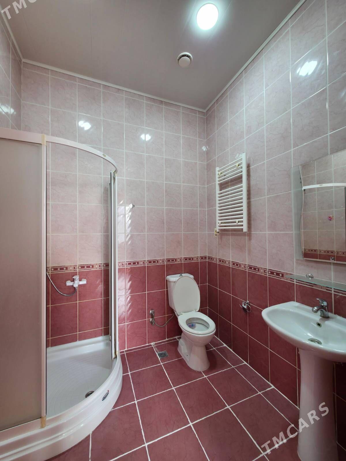 Podwoýsky elitka. - Aşgabat - img 8