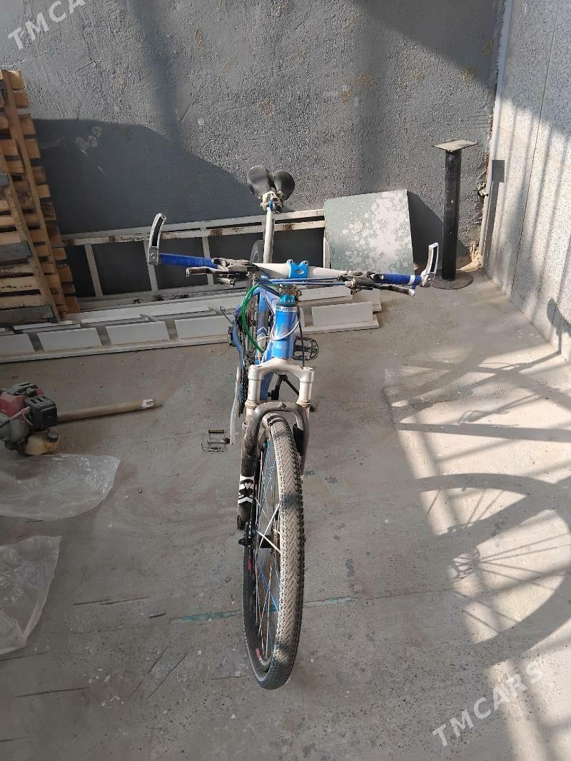 Tigir - Мир 8 - img 2