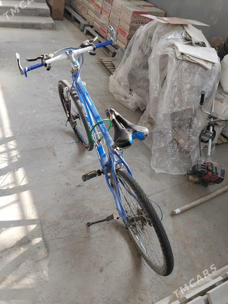 Tigir - Мир 8 - img 3