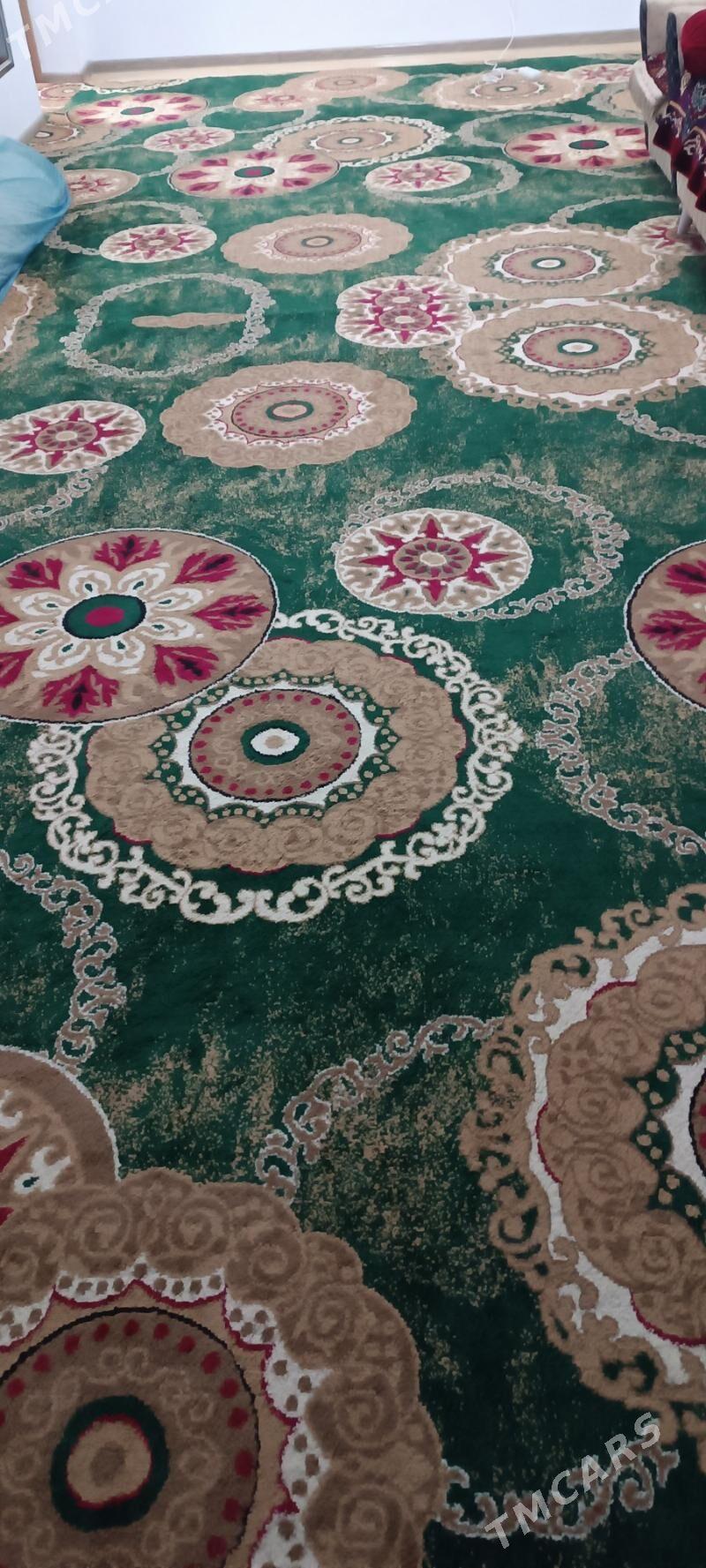 Haly - Tejen - img 2