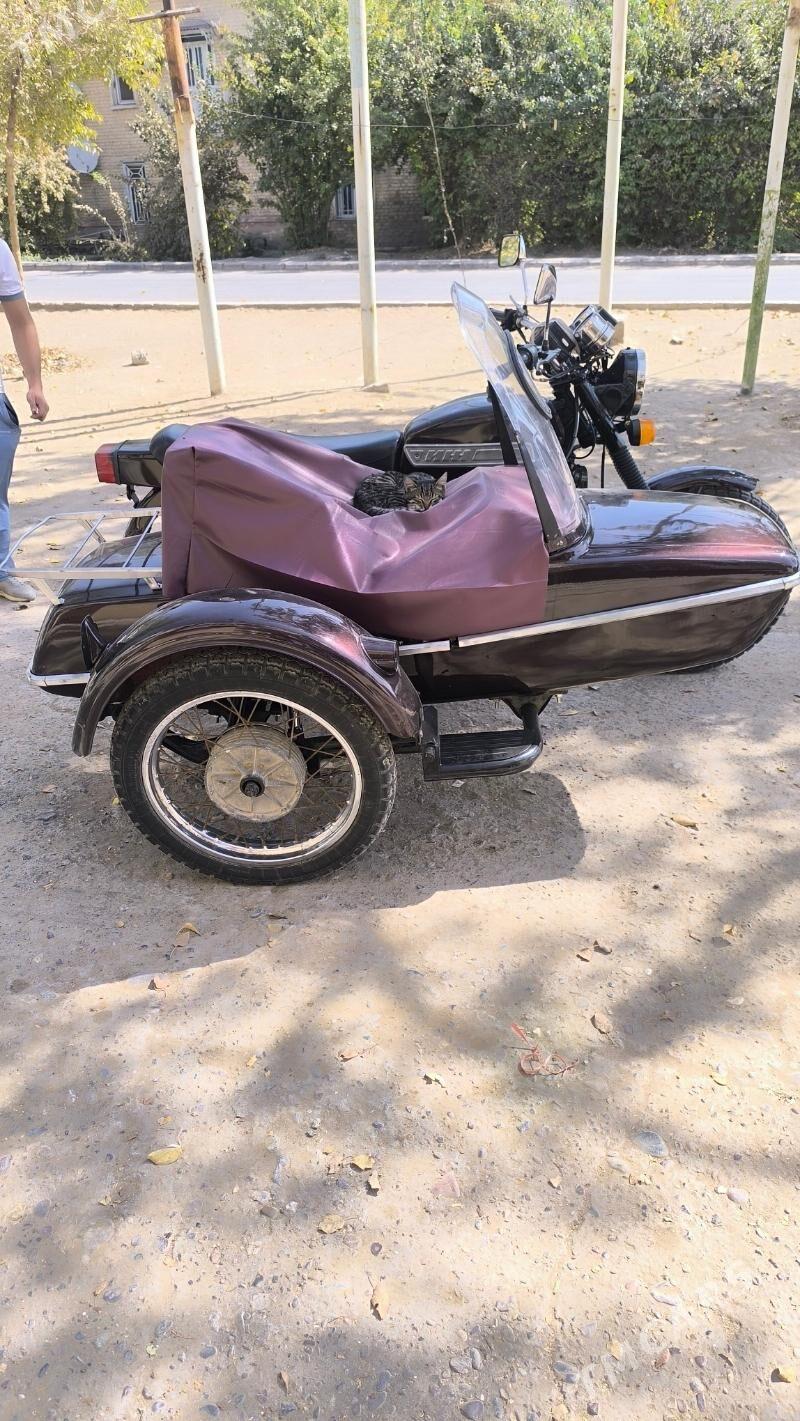 Iž Planeta 5 1985 - 13 000 TMT - Mary - img 2