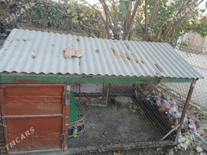 tovuk yatak - Mary - img 1