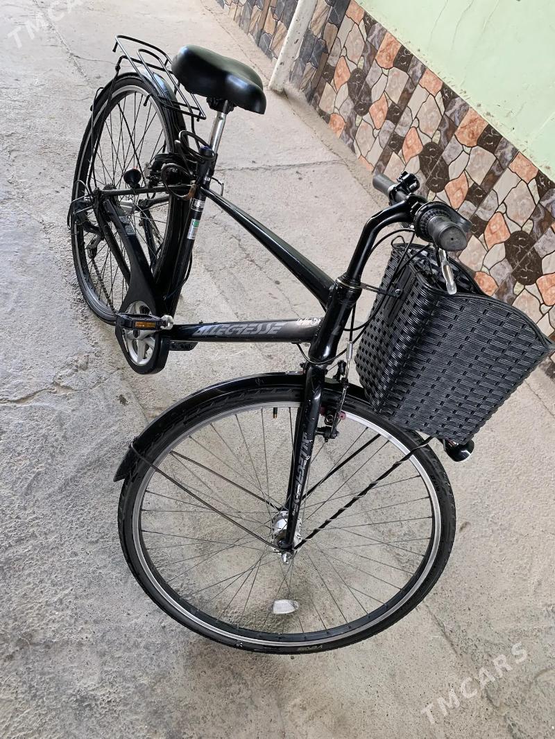 Welsepit   tigir - Мары - img 4