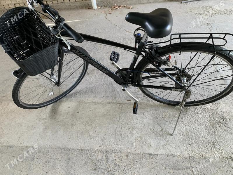 Welsepit   tigir - Мары - img 5