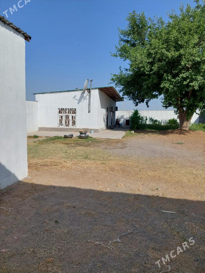 daca - Ашхабад - img 2