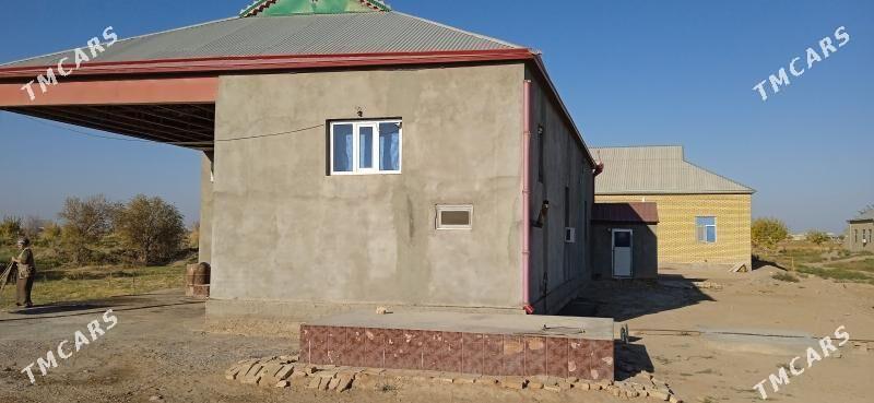 Pylan jay. - Сакарчага - img 2