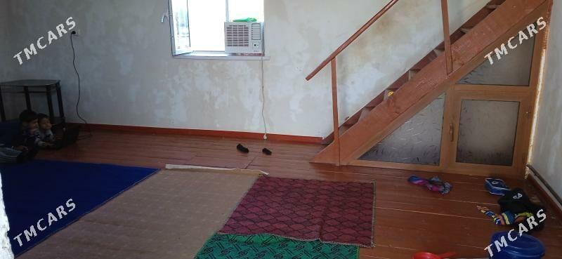 Pylan jay. - Сакарчага - img 4