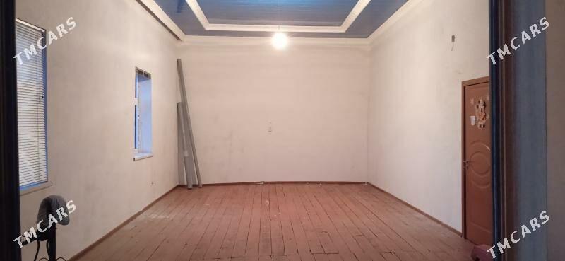 Pylan jay. - Сакарчага - img 3