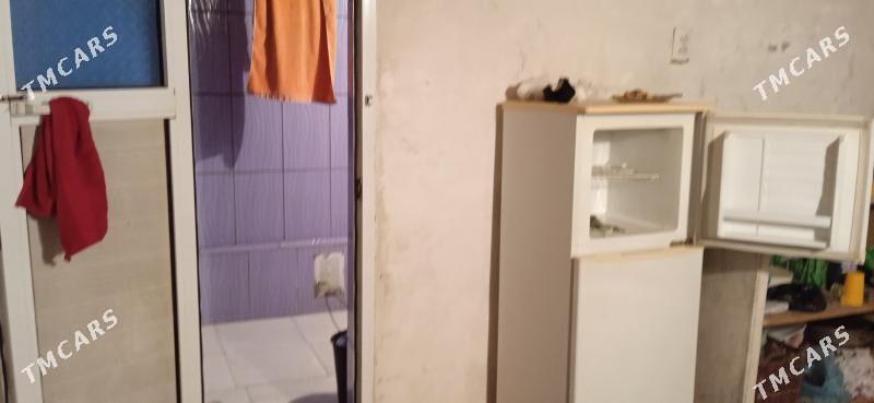 Pylan jay. - Сакарчага - img 7