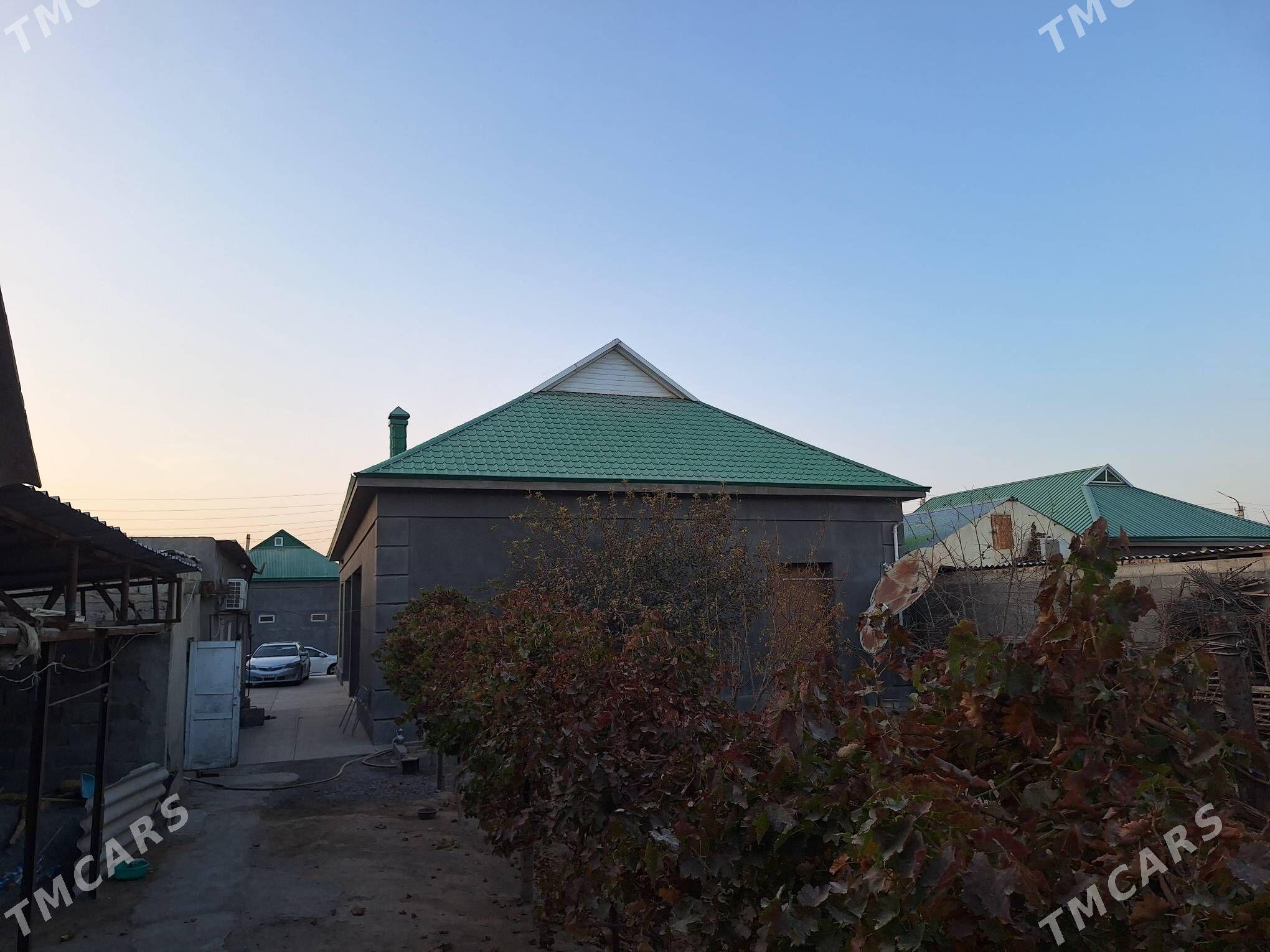 Satlyk jay 40 ýyllyk Garadasay - Büzmeýin - img 4