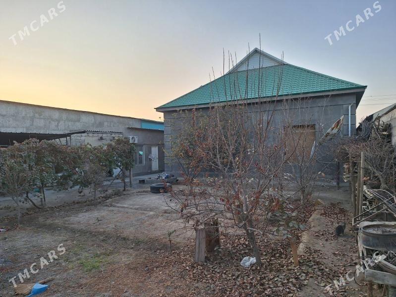 Satlyk jay 40 ýyllyk Garadasay - Büzmeýin - img 3