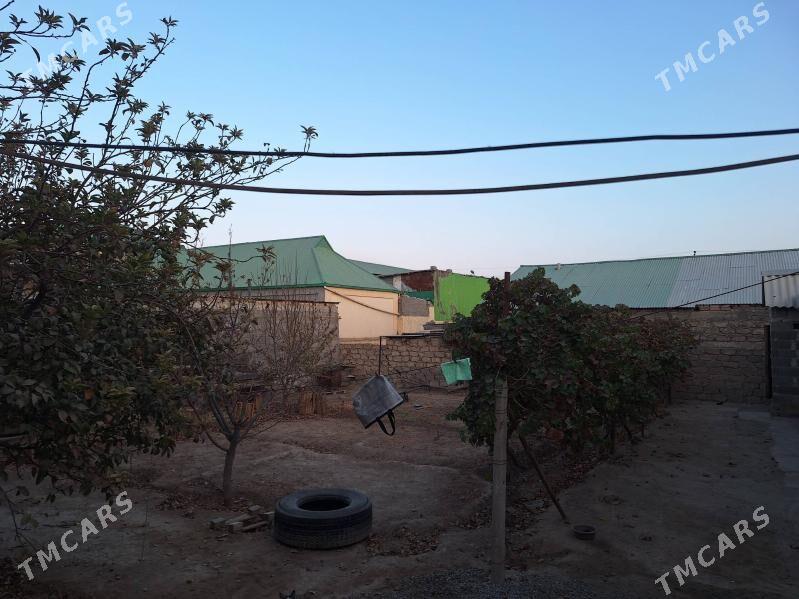 Satlyk jay 40 ýyllyk Garadasay - Büzmeýin - img 2