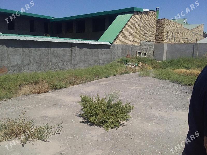 Дача Новая автостанция - Türkmenabat - img 7