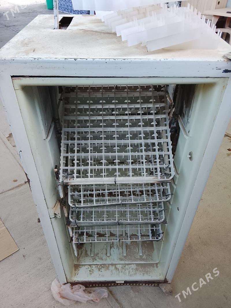 Inkubator - Aşgabat - img 2