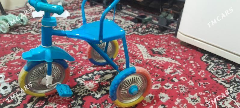 tigir - Кипджак - img 1