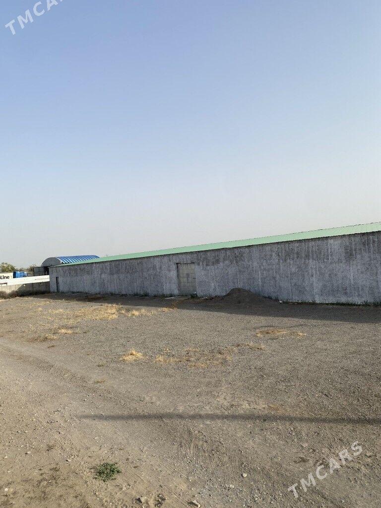 Hususy Ferma - Анев - img 2