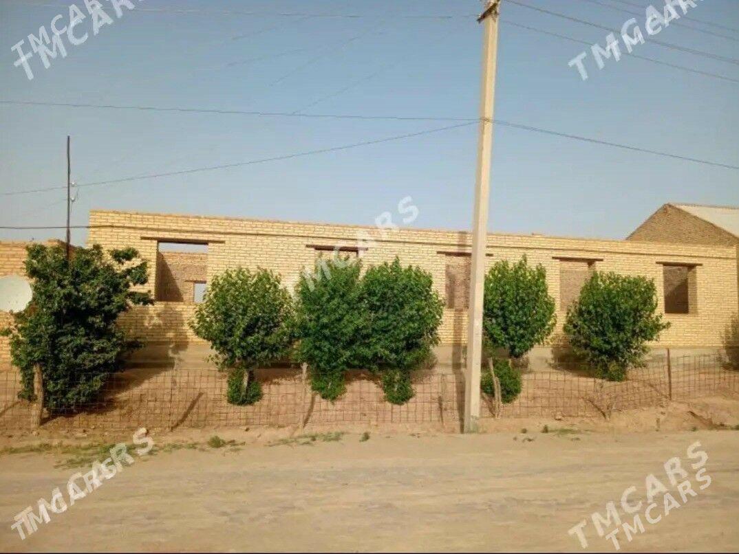 Satlyk jay - Hojambaz - img 2