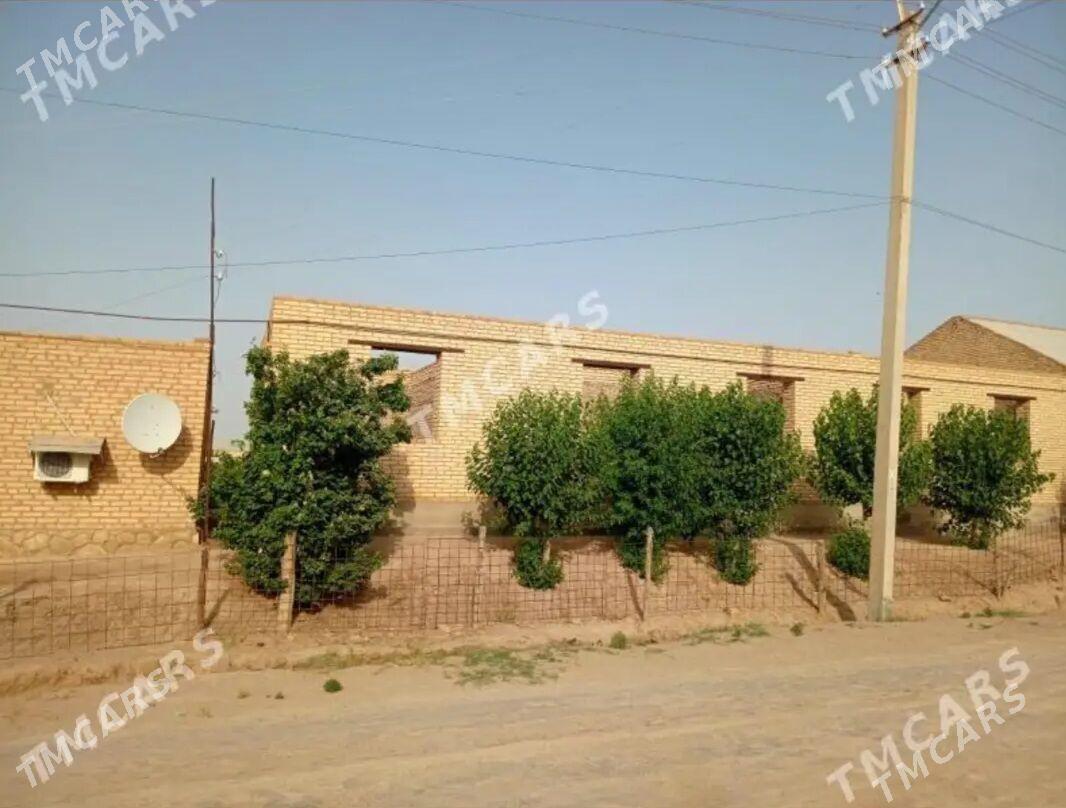 Satlyk jay - Hojambaz - img 1