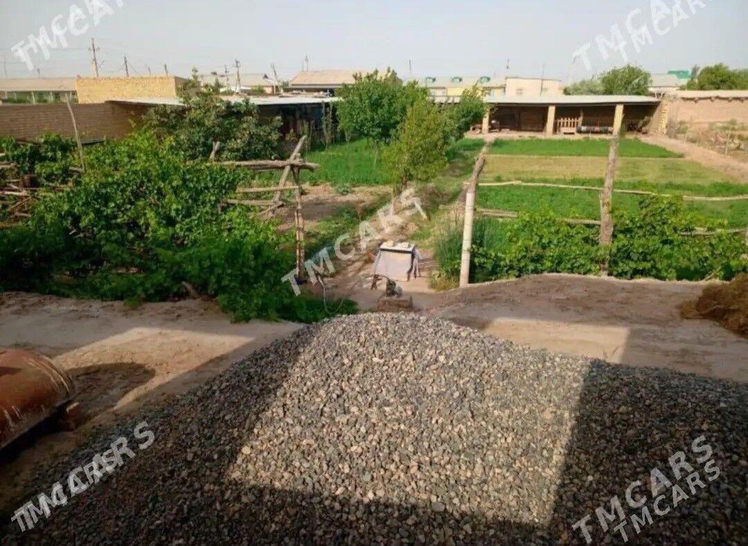 Satlyk jay - Hojambaz - img 6