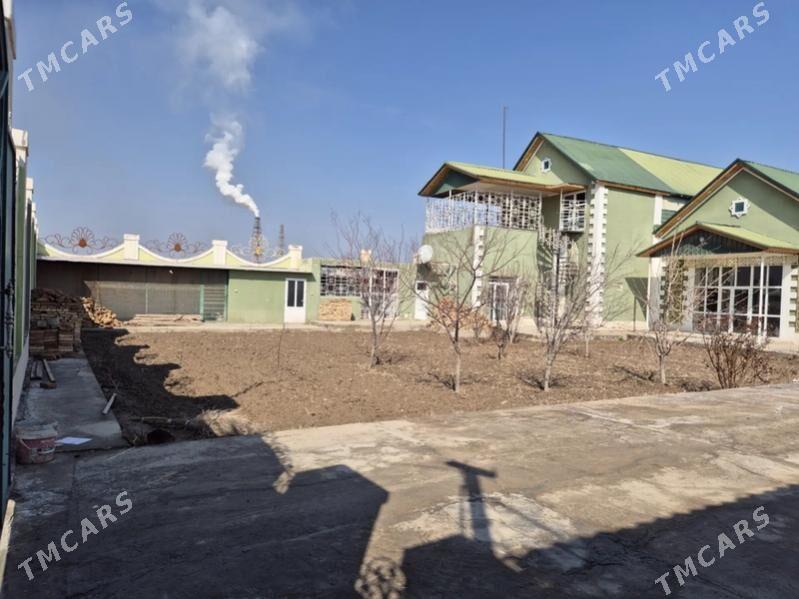 Satlyk howly - Türkmenabat - img 3