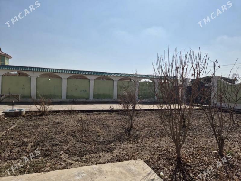 Satlyk howly - Türkmenabat - img 5