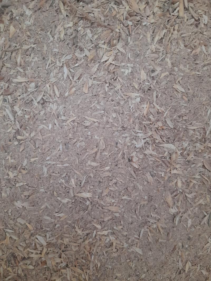 uwelen im - Bagyr - img 3