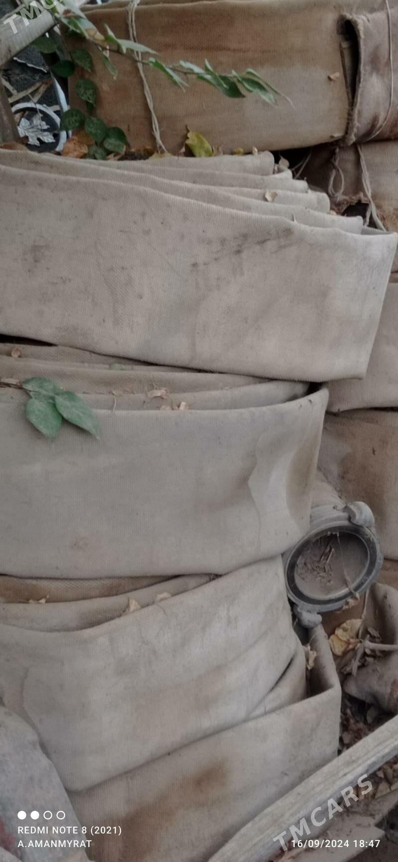 şlanga - Çoganly - img 2