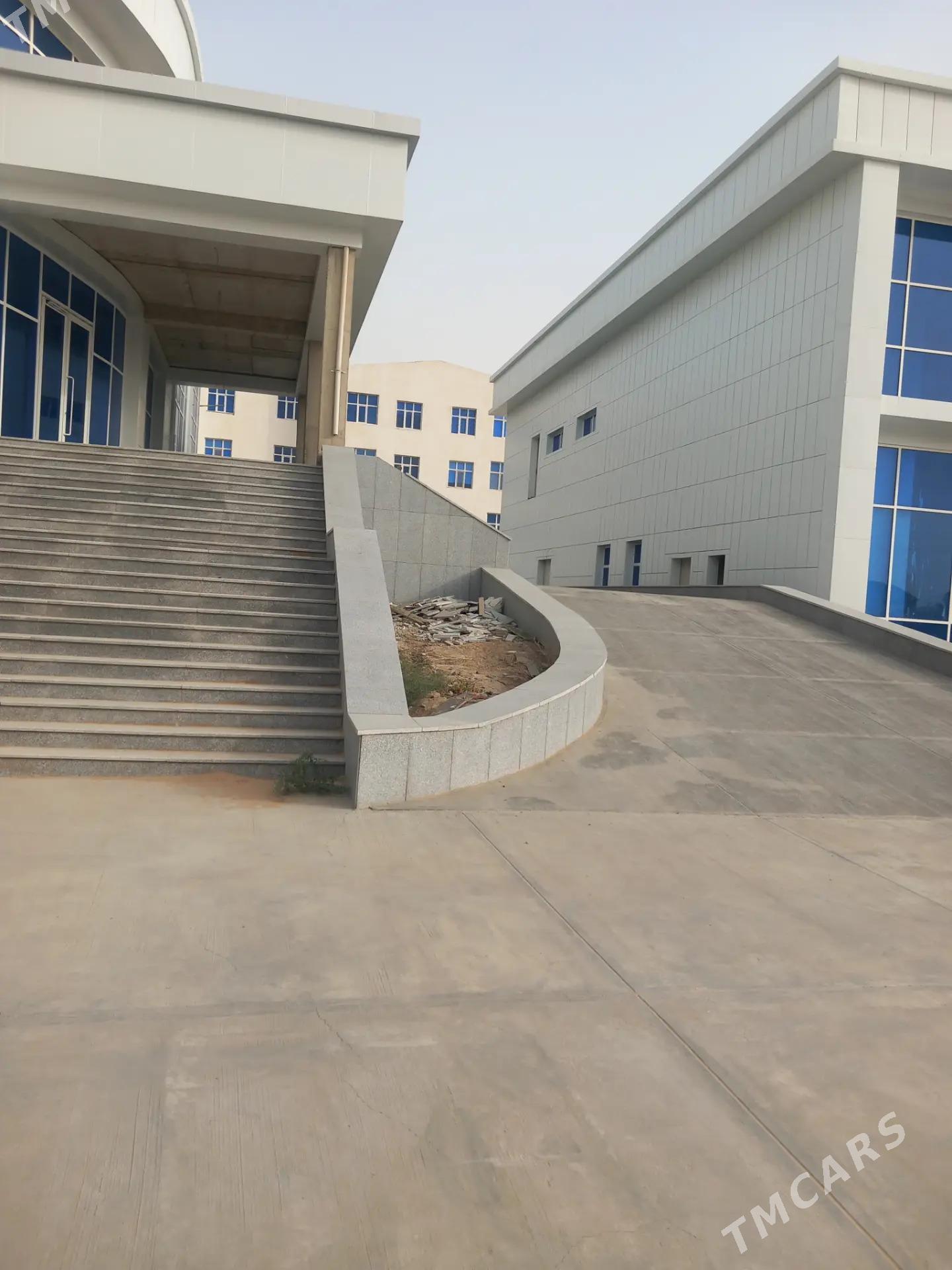 Satlyk Anew Zdaniya - Änew - img 2