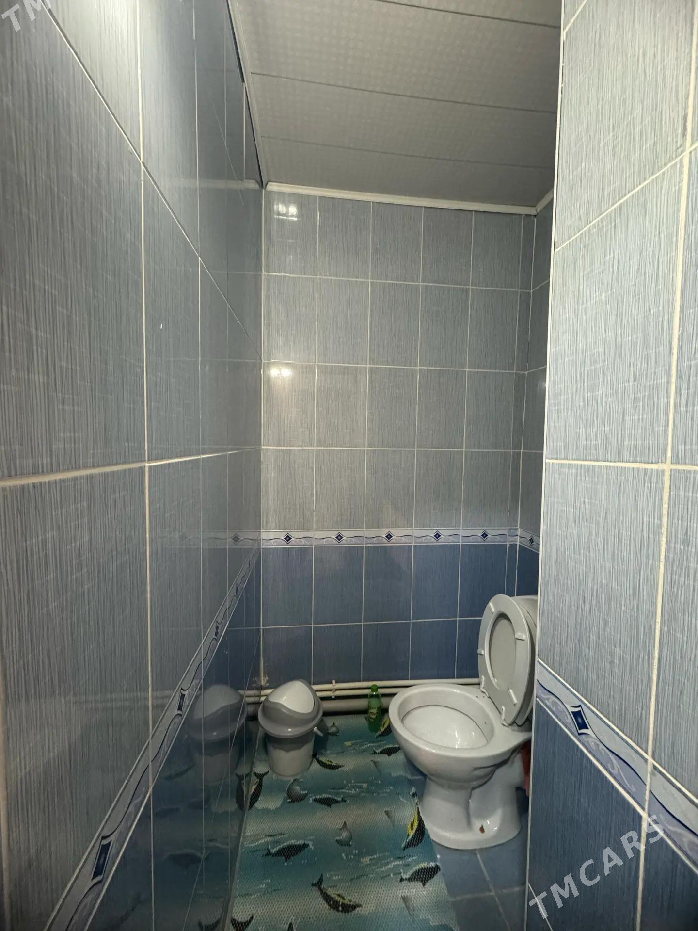 Мир7/2 - Parahat 7 - img 6