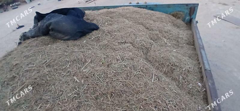 Üwelen ýandak - Ак-Бугдайский этрап - img 3