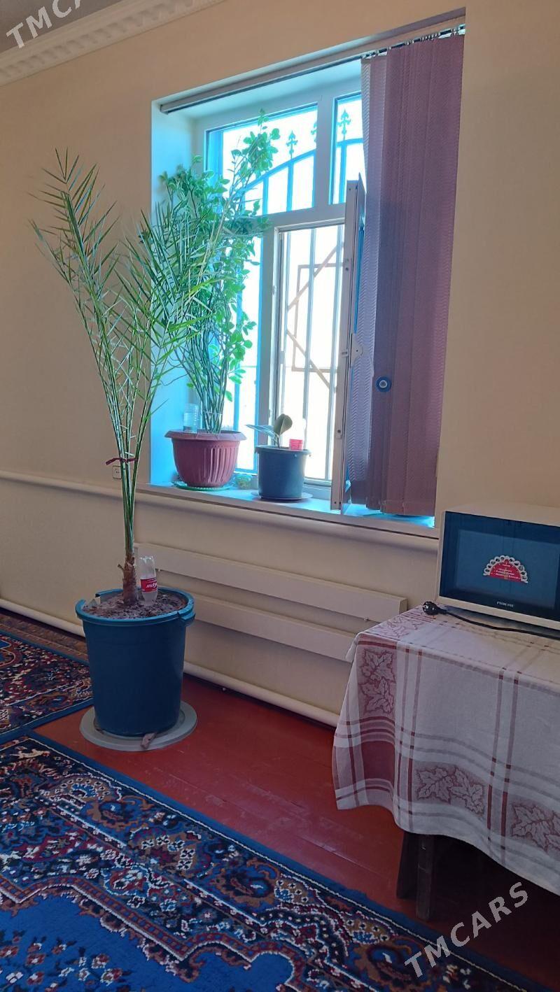 Jaý - Гороглы (Тагта) - img 4