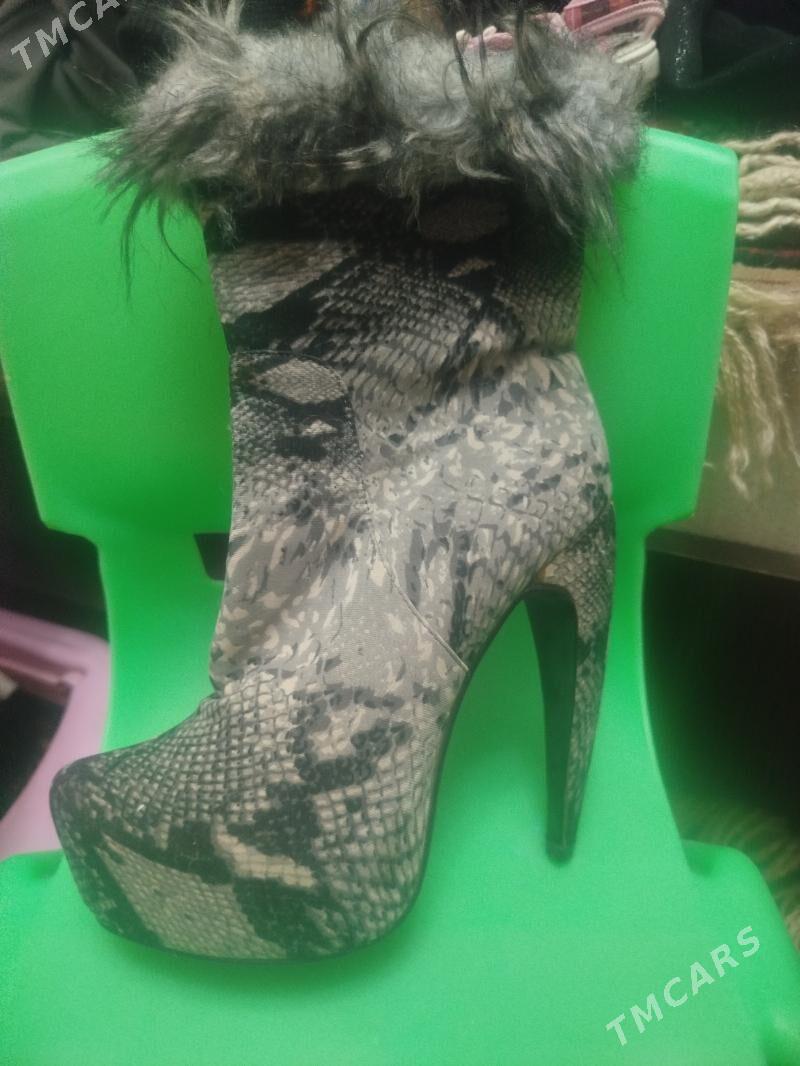 ádik - Daşoguz - img 3