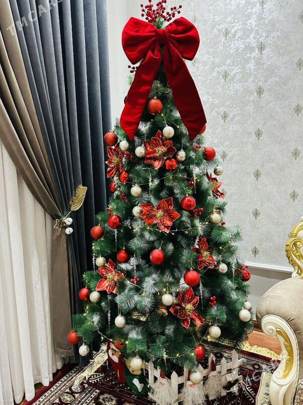 Yolka - Ашхабад - img 2