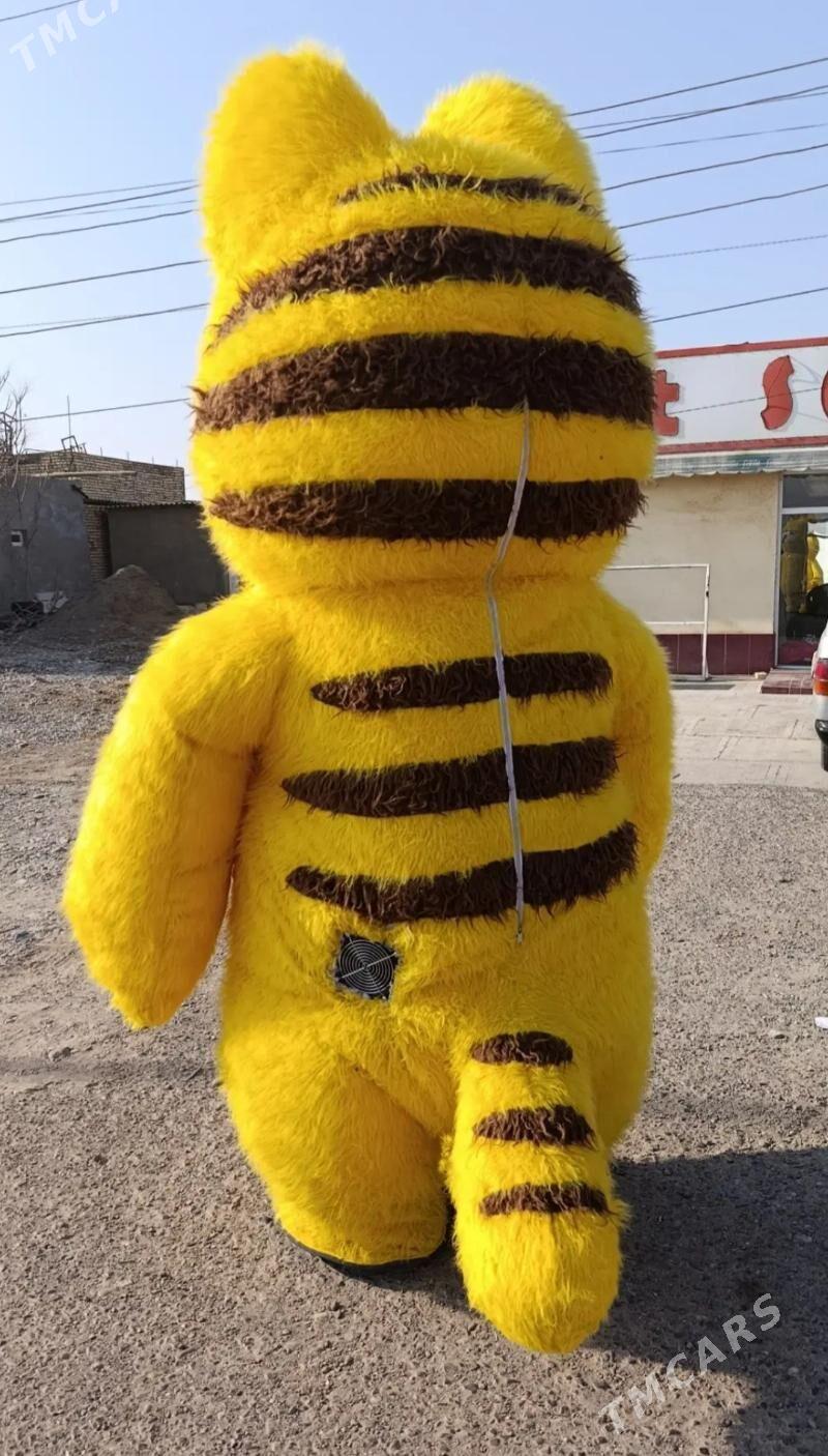 Miska pisik - Aşgabat - img 2