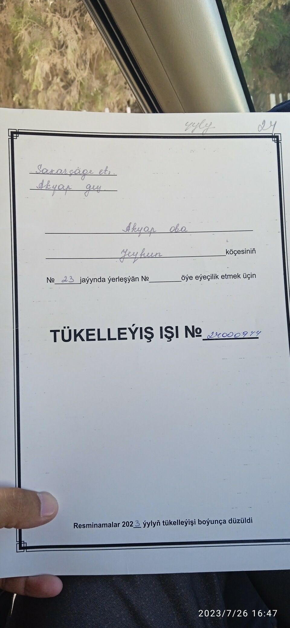 Pylan jay. - Сакарчага - img 8