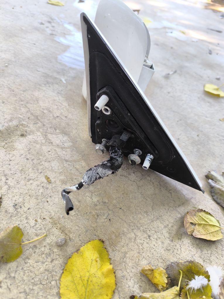 Bokowoy palta 200 TMT - Aşgabat - img 3