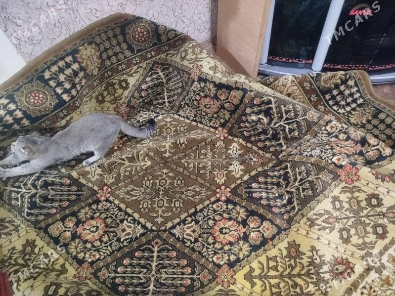 ковёр - Çärjew - img 2