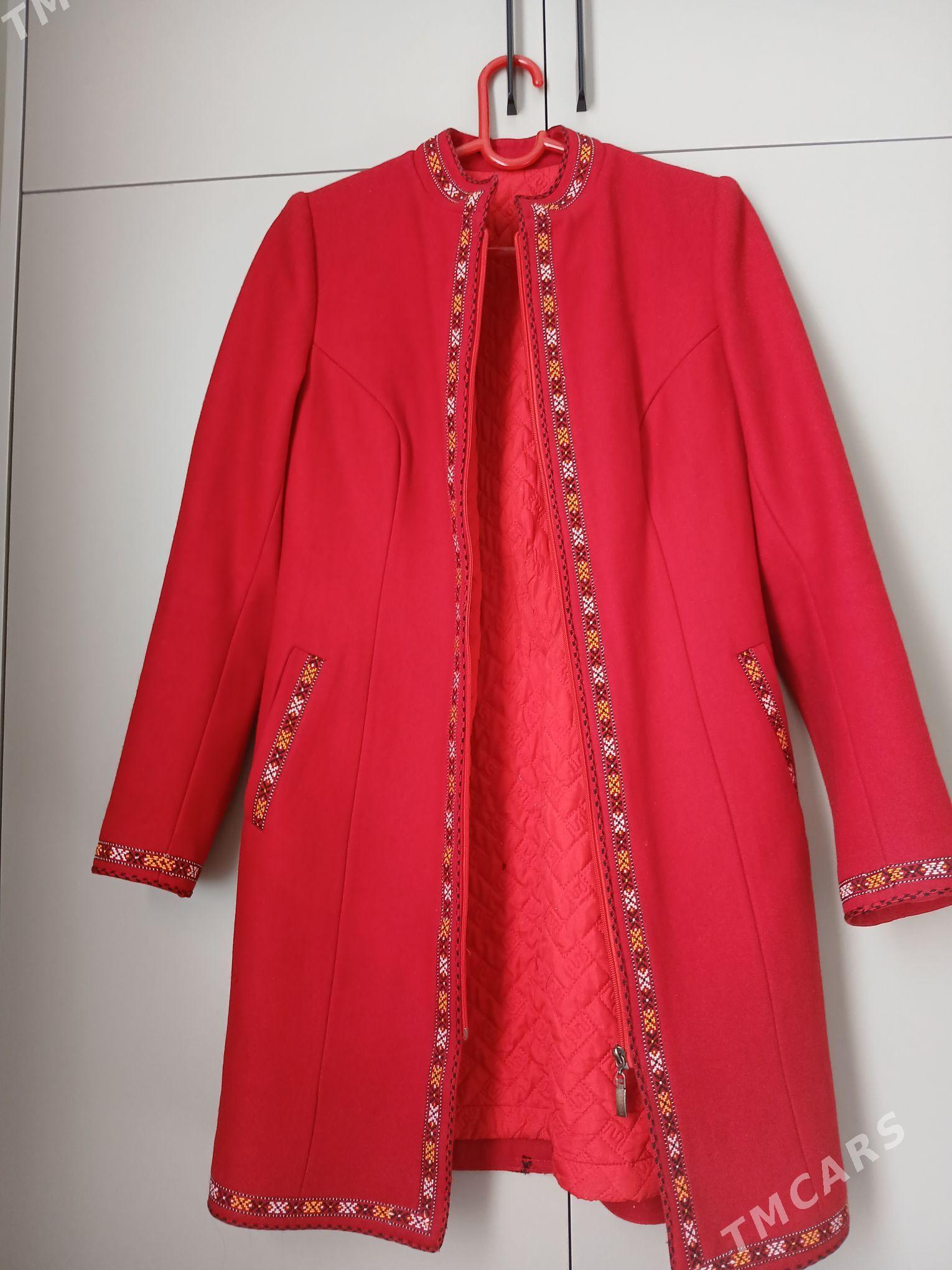 talyp don begres - Гуртли - img 2