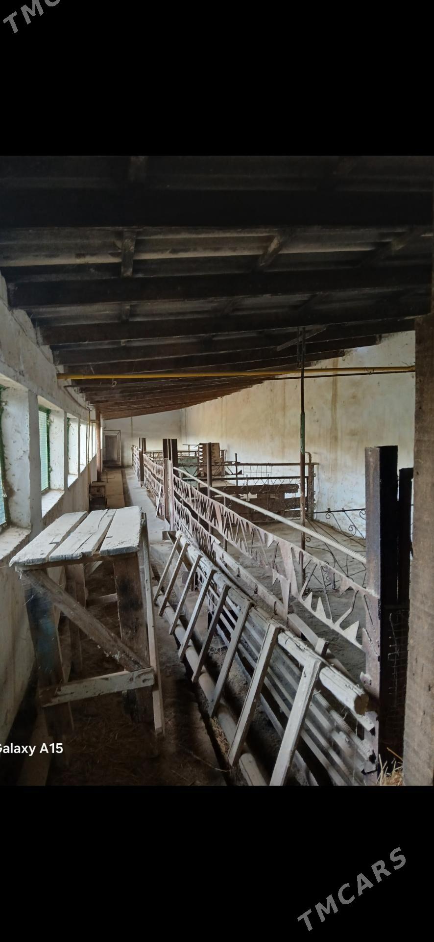 Дача Аэропорт - Türkmenabat - img 6