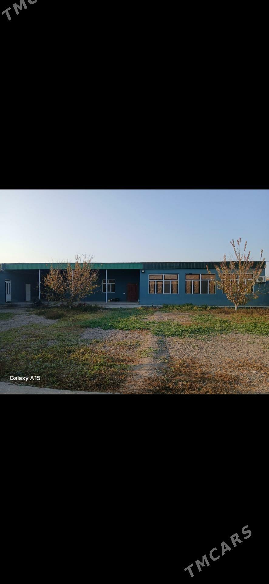 Дача Аэропорт - Türkmenabat - img 4