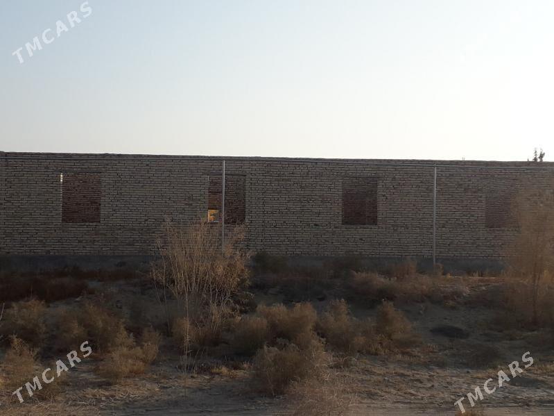 Çöl mellek - Саят - img 3