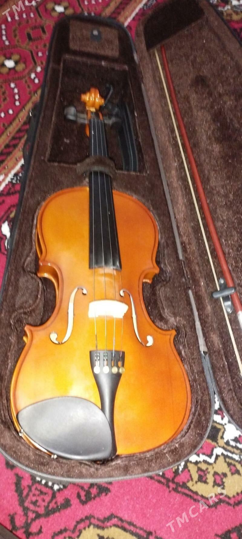 Skripka (STENTOR) - Türkmenabat - img 4