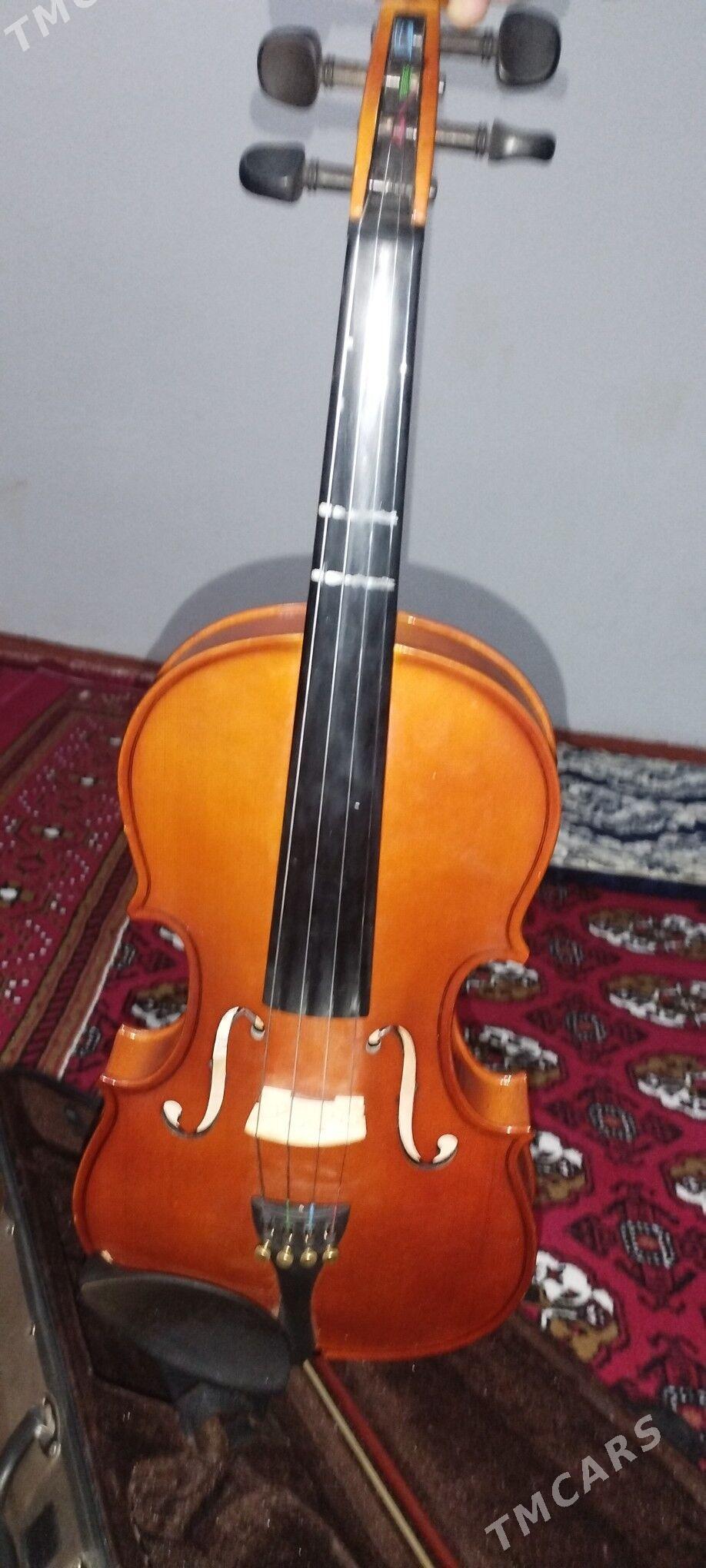 Skripka (STENTOR) - Türkmenabat - img 2