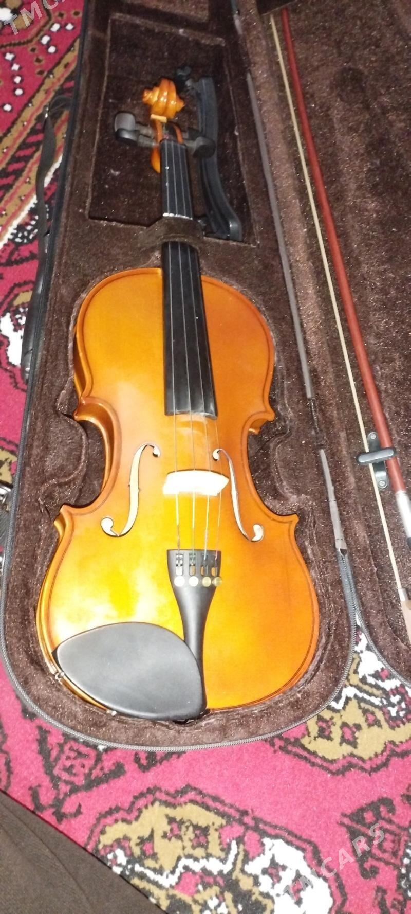 Skripka (STENTOR) - Türkmenabat - img 1