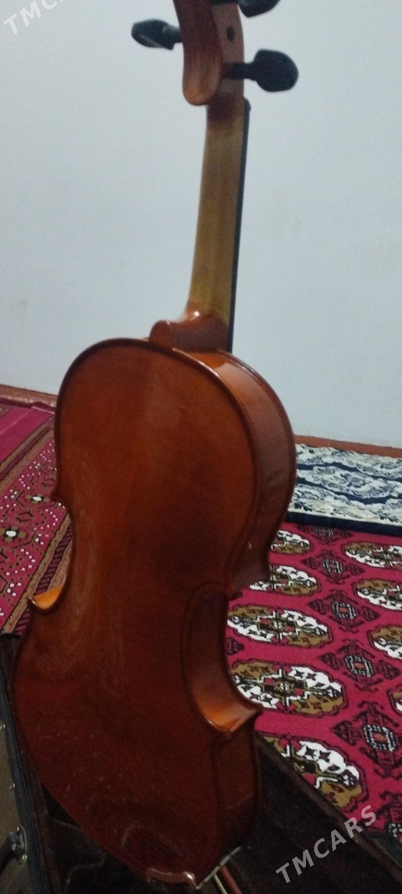 Skripka (STENTOR) - Türkmenabat - img 3